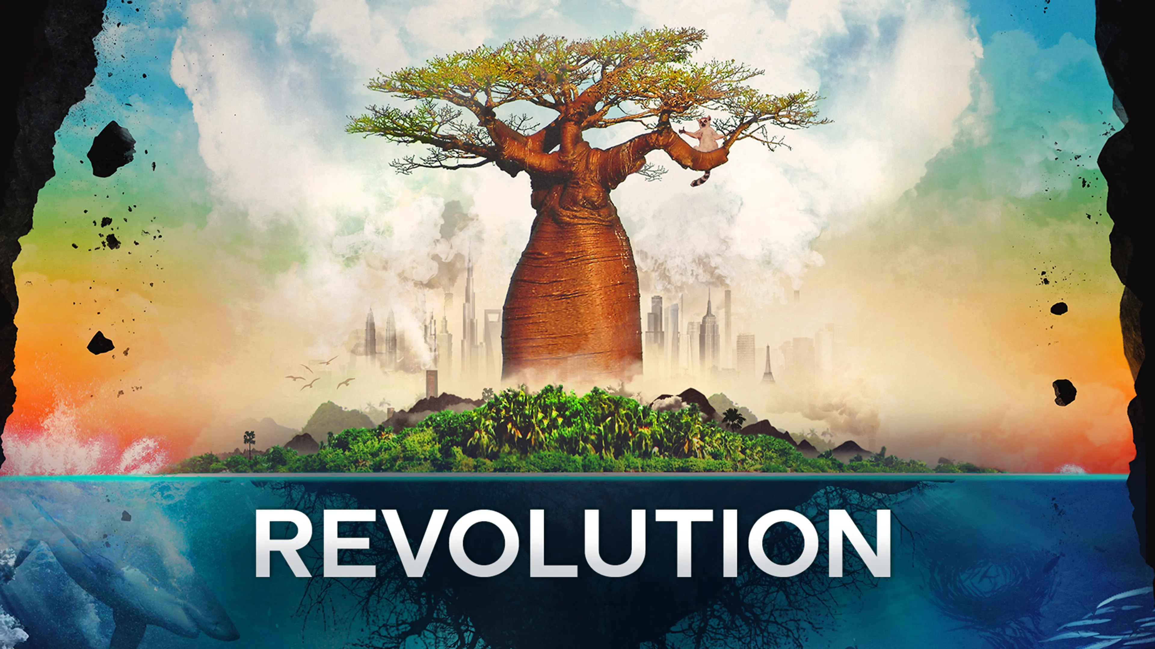 Revolution poster